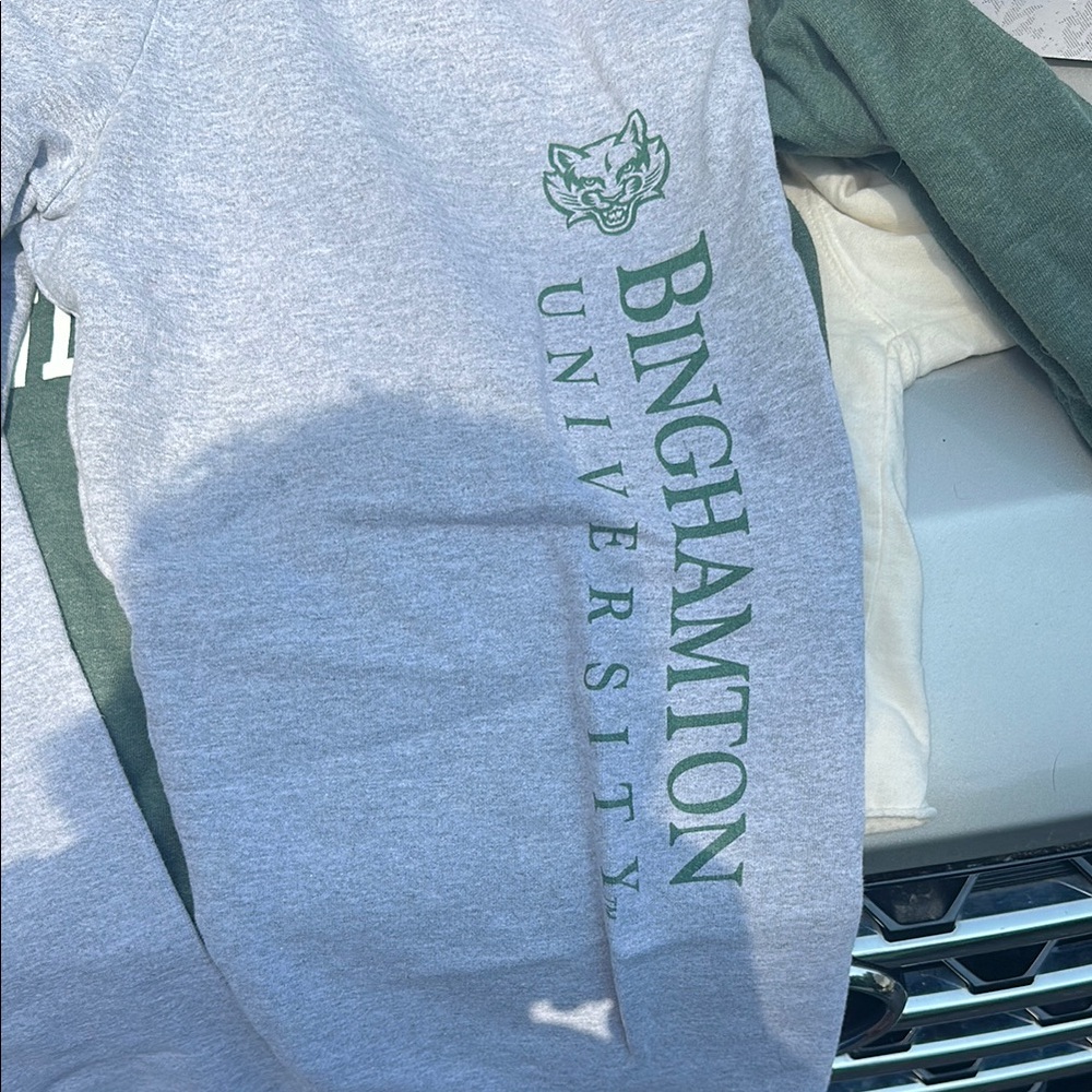 Binghamton University Sweatshirt in Gray and Green
